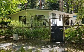 Chalet Vogelzang - Veluwe, natuur, privacy